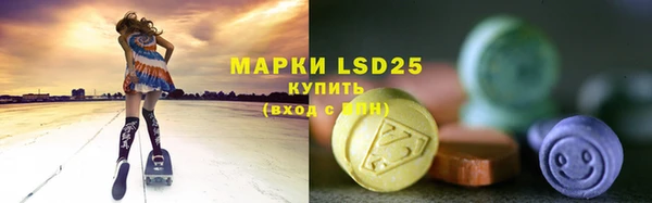 прущие крисы Медвежьегорск