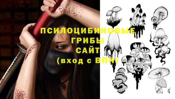 прущие крисы Мегион