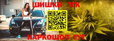 прущие крисы Дубна