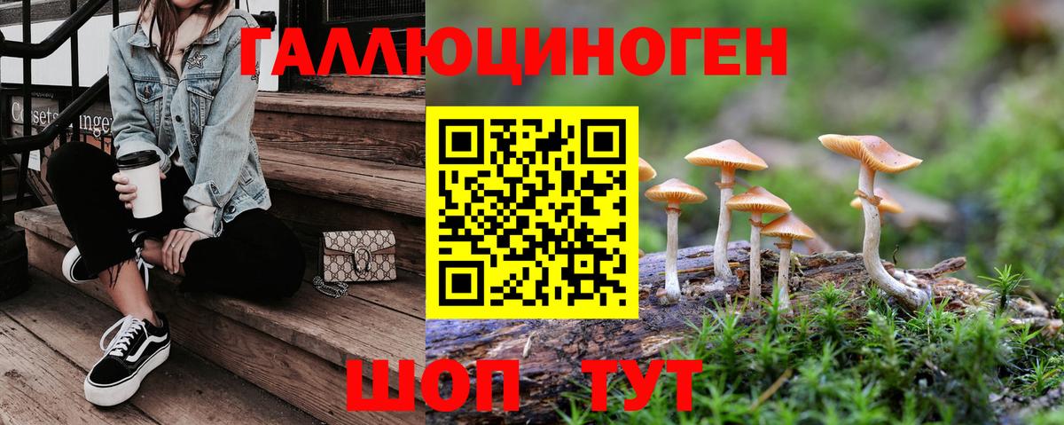 Пятигорск  Псилоцибиновые грибы мухоморы  Вход с VPN 